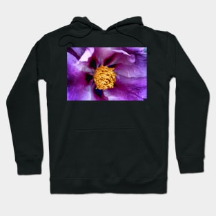 Spring Bloom Hoodie